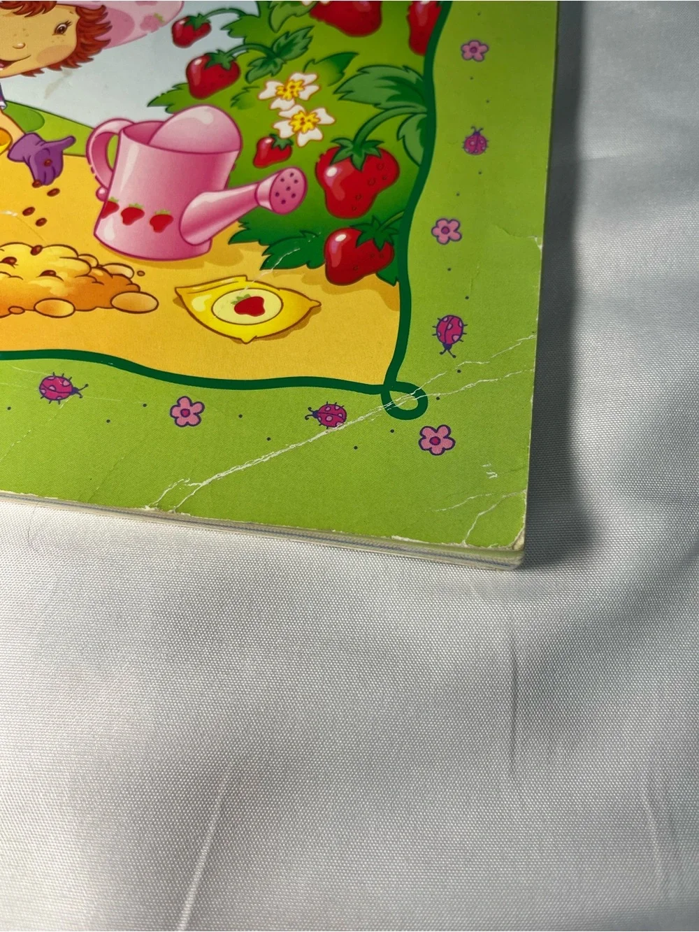Strawberry Shortcake’s Berry Best Gardening Book‎ Megan E Bryant PB 2004 VTG